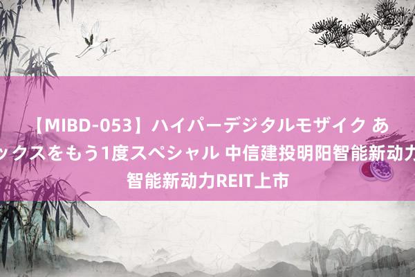 【MIBD-053】ハイパーデジタルモザイク あの娘のセックスをもう1度スペシャル 中信建投明阳智能新动力REIT上市