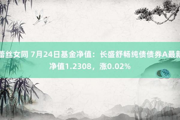 蕾丝女同 7月24日基金净值：长盛舒畅纯债债券A最新净值1.2308，涨0.02%