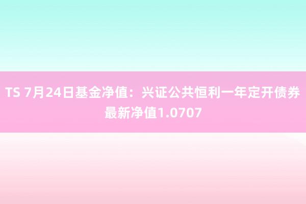 TS 7月24日基金净值：兴证公共恒利一年定开债券最新净值1.0707