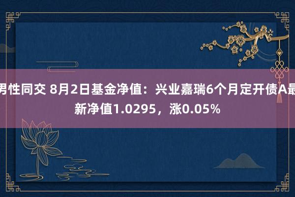 男性同交 8月2日基金净值：兴业嘉瑞6个月定开债A最新净值1.0295，涨0.05%