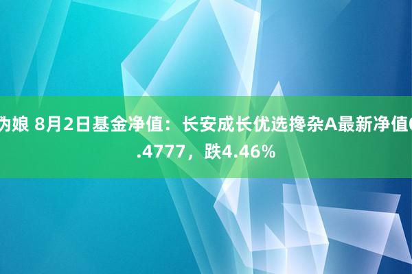 伪娘 8月2日基金净值：长安成长优选搀杂A最新净值0.4777，跌4.46%