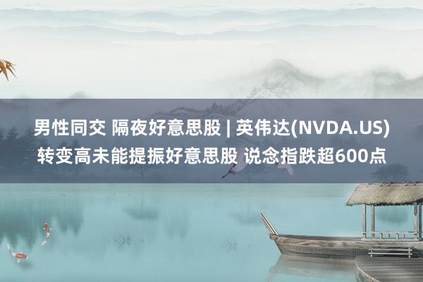 男性同交 隔夜好意思股 | 英伟达(NVDA.US)转变高未能提振好意思股 说念指跌超600点