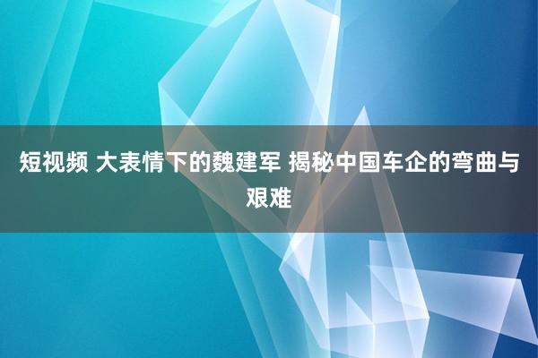 短视频 大表情下的魏建军 揭秘中国车企的弯曲与艰难