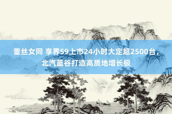 蕾丝女同 享界S9上市24小时大定超2500台，北汽蓝谷打造高质地增长极