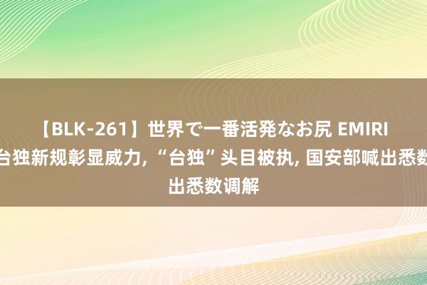 【BLK-261】世界で一番活発なお尻 EMIRI 惩治台独新规彰显威力， “台独”头目被执， 国安部喊出悉数调解