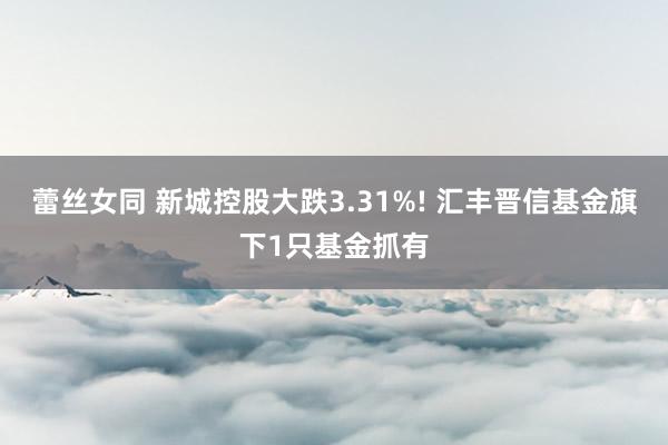 蕾丝女同 新城控股大跌3.31%! 汇丰晋信基金旗下1只基金抓有