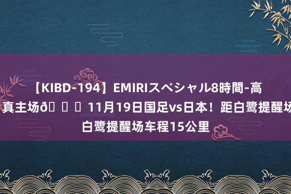 【KIBD-194】EMIRIスペシャル8時間-高画質-特別編 真主场?11月19日国足vs日本！距白鹭提醒场车程15公里