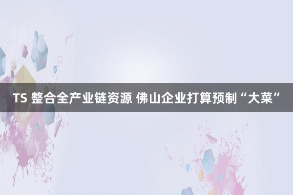 TS 整合全产业链资源 佛山企业打算预制“大菜”